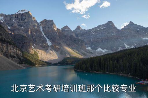 北京艺术考研培训班那个比较专业