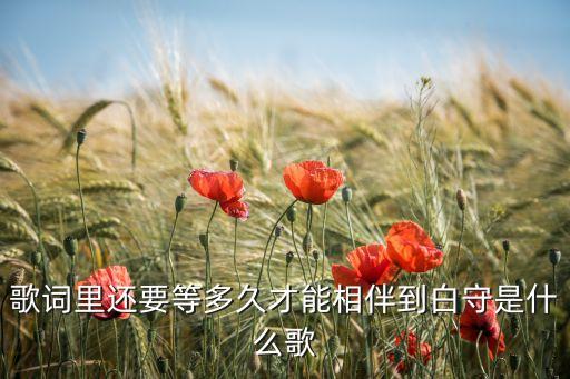 张晓明歌曲还要等多久，歌词里还要等多久才能相伴到白守是什么歌