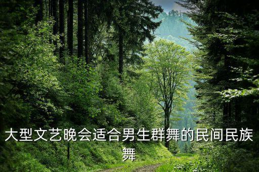 大型文艺晚会适合男生群舞的民间民族舞
