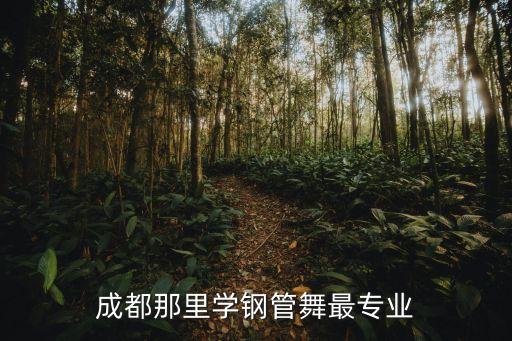 成都哪里有学钢管舞的，成都哪里可以学跳正规钢管舞