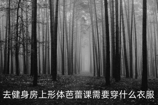 练形体芭蕾穿什么，我要练形体芭蕾穿什么服装