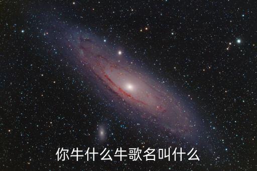你牛什么牛歌名叫什么
