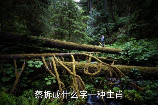 蔡拆成什么字一种生肖