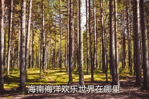 欢乐海洋舞场在哪里，哪吒只哭过一次哪吒闹海影评