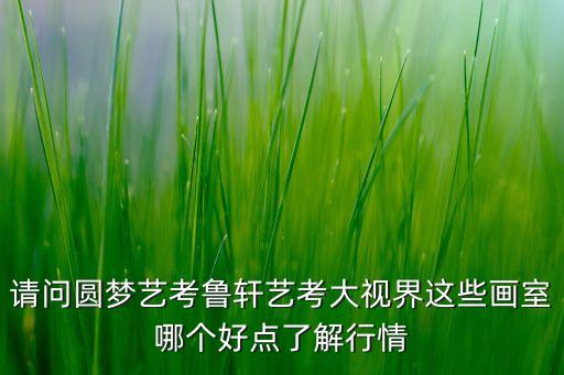 圆梦艺考，重庆的圆梦和艺考哪个好