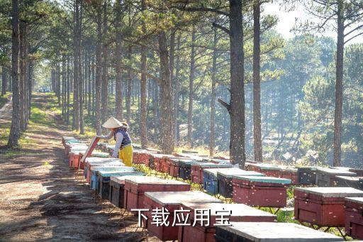 下载应用宝