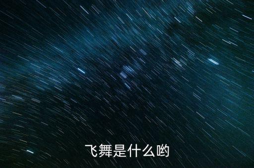 飞舞是什么哟