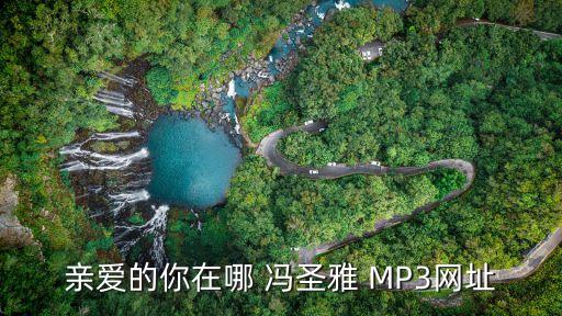 广场舞亲爱的你在哪里mp3，马天宇亲爱的你在哪里的链接不要含或者的
