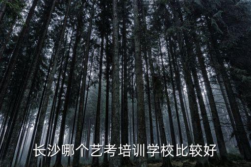 长沙哪个艺考培训学校比较好