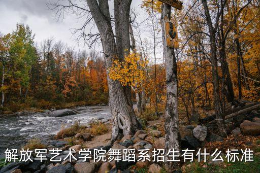 解放军艺术学院舞蹈系招生有什么标准