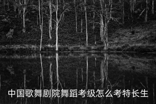 中国歌舞剧院舞蹈考级怎么考特长生