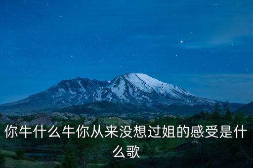 你牛什么牛你从来没想过姐的感受是什么歌
