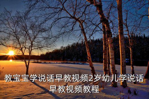 教宝宝学说话早教视频2岁幼儿学说话早教视频教程
