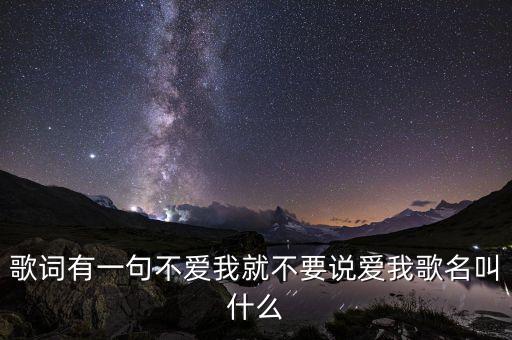 歌词有一句不爱我就不要说爱我歌名叫什么