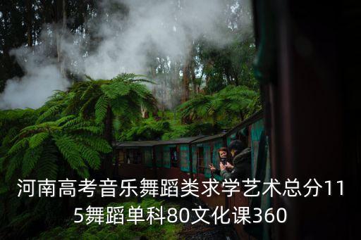 河南高考音乐舞蹈类求学艺术总分115舞蹈单科80文化课360