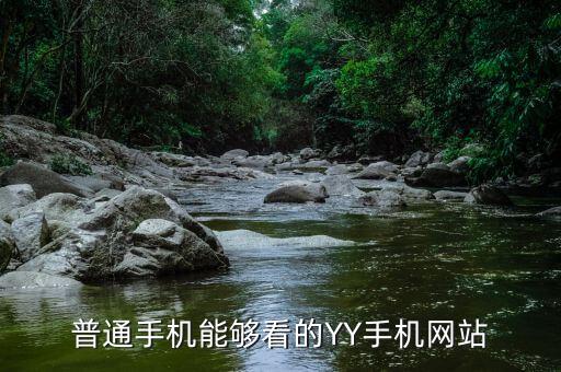 普通手机能够看的YY手机网站