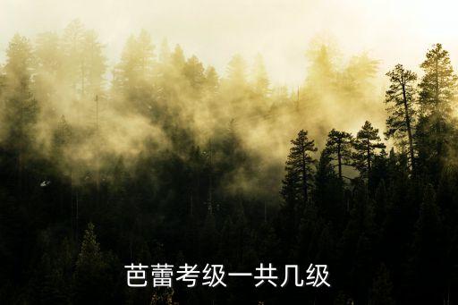 芭蕾考级一共几级