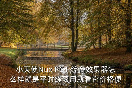 小天使Nux PG1 综合效果器怎么样就是平时练习用就看它价格便