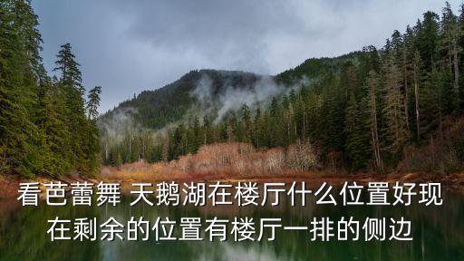 看芭蕾舞 天鹅湖在楼厅什么位置好现在剩余的位置有楼厅一排的侧边