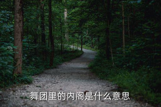 舞团里的内阁是什么意思