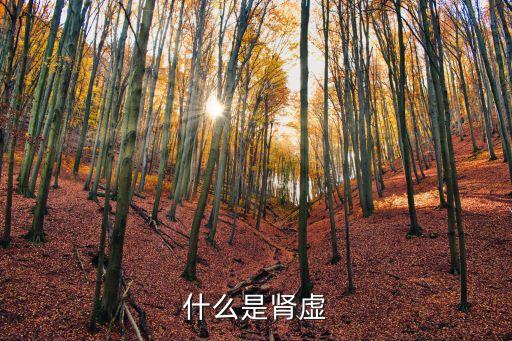 什么是肾虚