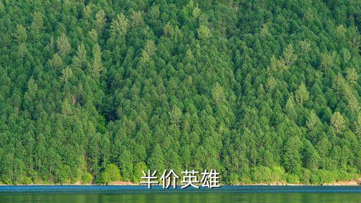 半价英雄