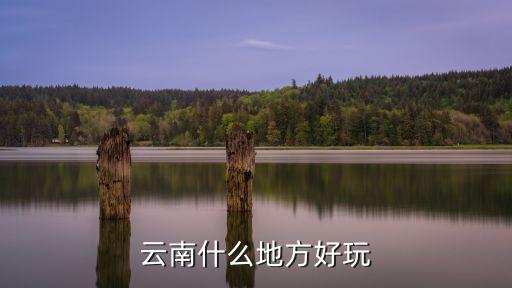 云南什么地方好玩