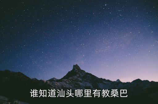 谁知道汕头哪里有教桑巴