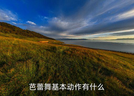 芭蕾舞基本动作有什么