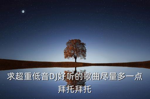 求超重低音DJ好听的歌曲尽量多一点拜托拜托