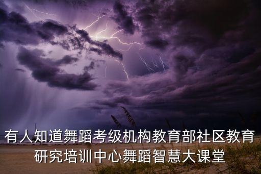 有人知道舞蹈考级机构教育部社区教育研究培训中心舞蹈智慧大课堂