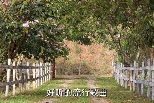 流行歌曲500首，流行歌曲500首