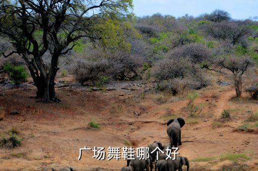 广场舞鞋哪个好