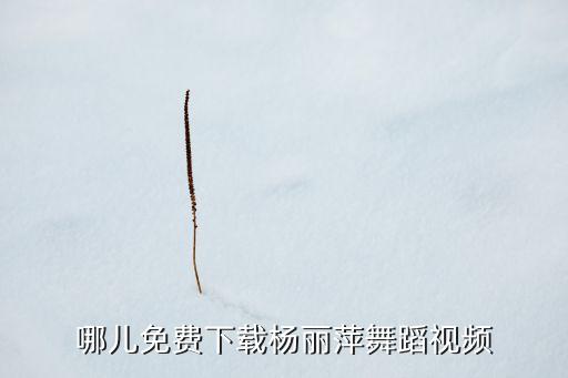 如何下载出卖我广场舞杨丽萍，杨丽萍广场舞街舞mp3怎么下载