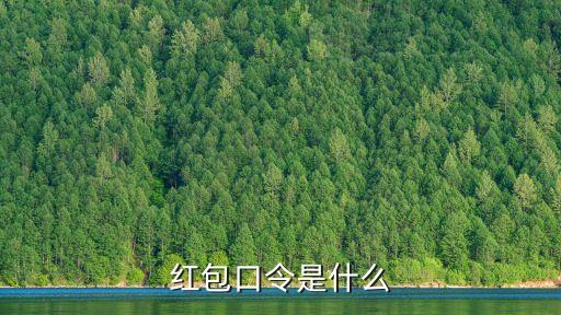红包口令是什么