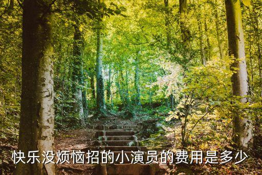紫罗兰舞蹈加盟费多少钱，快乐没烦恼招的小演员的费用是多少