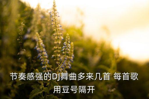 节奏感强的DJ舞曲多来几首 每首歌用豆号隔开
