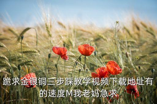 跪求金银铜三步踩教学视频下载地址有的速度M我老妈急求