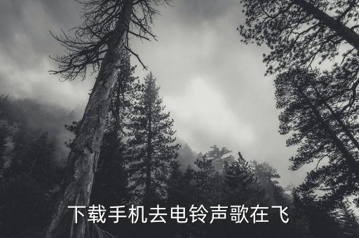 下载手机去电铃声歌在飞