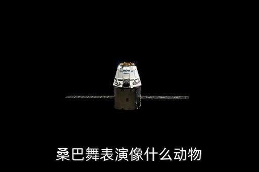 桑巴舞表演像什么动物