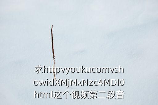 小天鹅舞曲舞蹈视频少儿钢琴，在哪里能下到四小天鹅舞曲的钢琴版