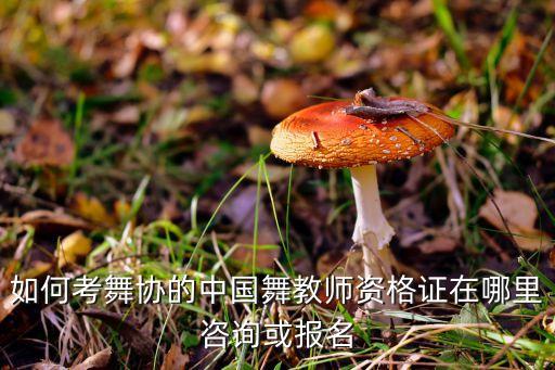 中国舞协舞蹈教师资格证考试时间，拉丁舞教师证几月份可以考