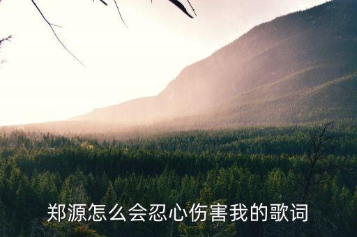 郑源怎么会忍心伤害我的歌词