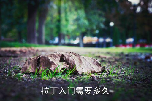 拉丁入门需要多久