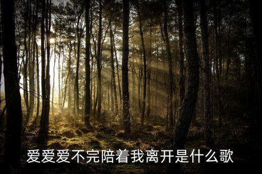 爱爱爱不完陪着我离开是什么歌
