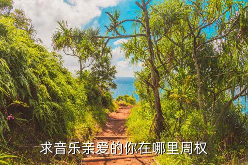 求音乐亲爱的你在哪里周权
