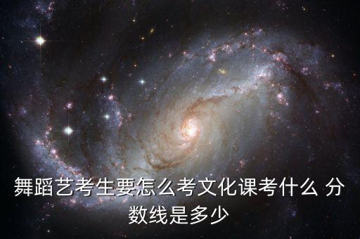 舞蹈艺考生要怎么考文化课考什么 分数线是多少