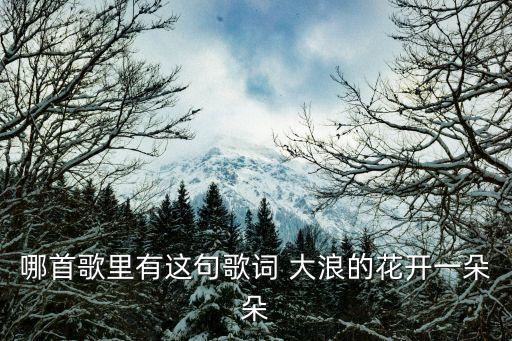 哪首歌里有这句歌词 大浪的花开一朵朵