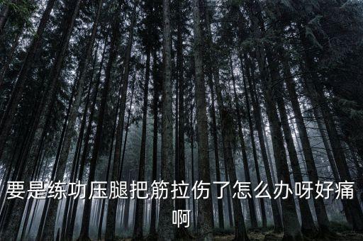 要是练功压腿把筋拉伤了怎么办呀好痛啊