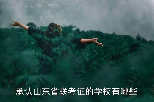承认山东省联考证的学校有哪些
